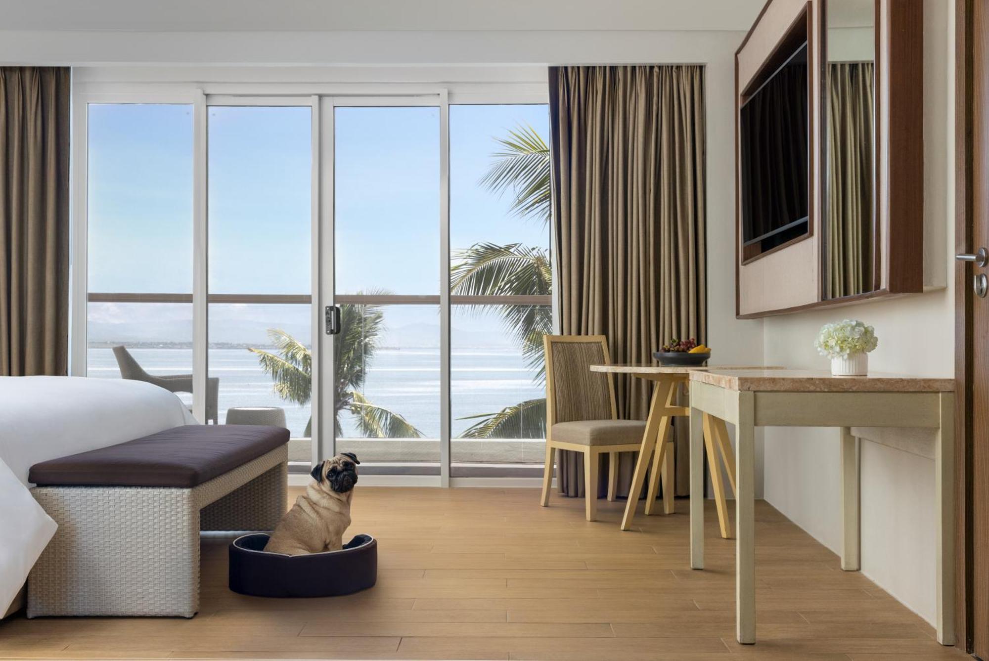 Dusit Thani Mactan Cebu Resort Lapu-Lapu City Exterior photo A room at the hotel